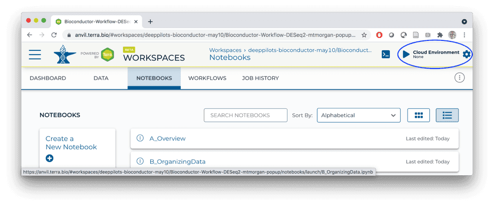 Start Jupyter Notebook Environment