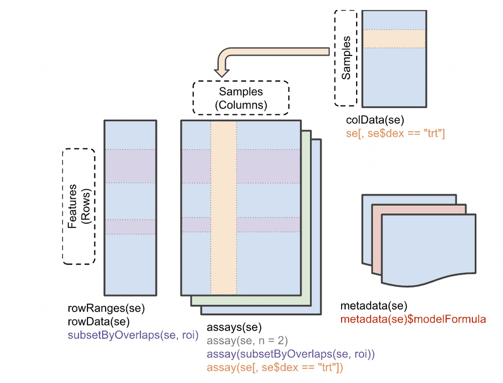 SummarizedExperiment