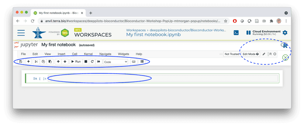 Jupyter Notebook Interface