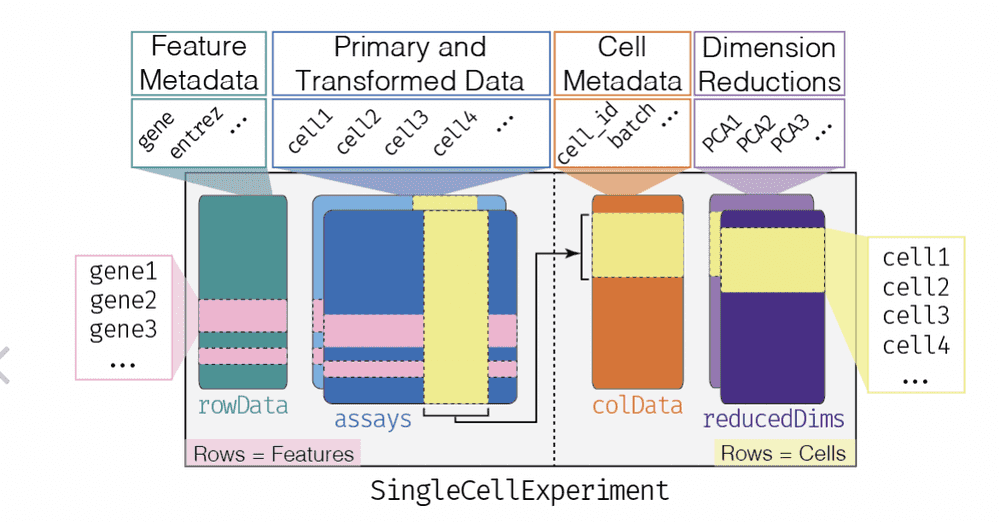 Filtering SummarizedExperiment