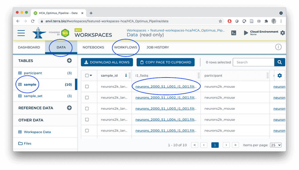 Data Tables Serve as Input to Workflows